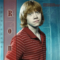 ��� �����