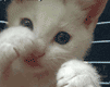 Sid