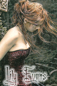 Lili Evans