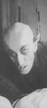 Orlok