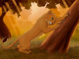 ������ ������