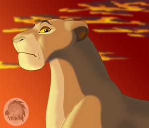 ���� ��� �����