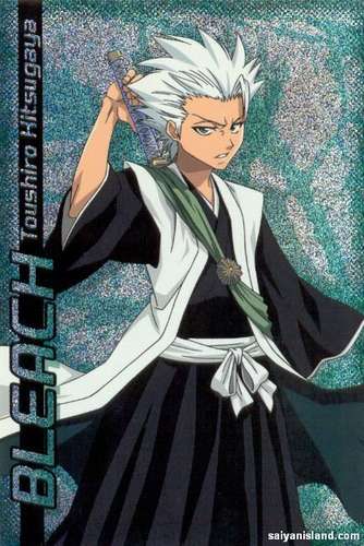 Hitsugaya Toushiro