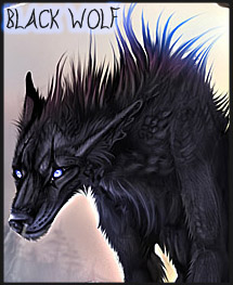 Black wolf