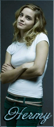 ��������_���������