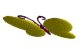 _