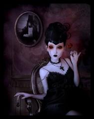 ��������