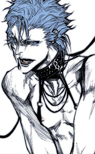 [Grimmjow Jeagerjaques]