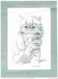 �����������_������