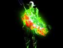 Nerrotic