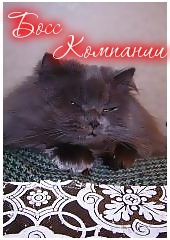 ������ �����������