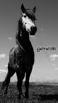 Genesis