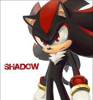 Shadow The Hedgehog