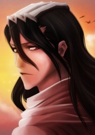 Kuchiki Byakuya 8