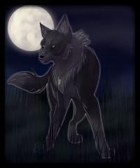 DarkWolf