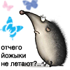 sone4ko=)