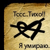 ~FlyFantasy~