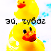 duck_xD