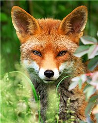 �������