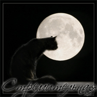 �������������