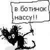 ==
