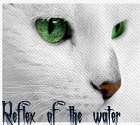 Reflex of the water