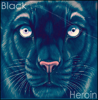 Black Heroin