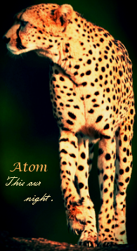 Atom