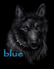 ~BLUE~