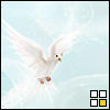 Moric