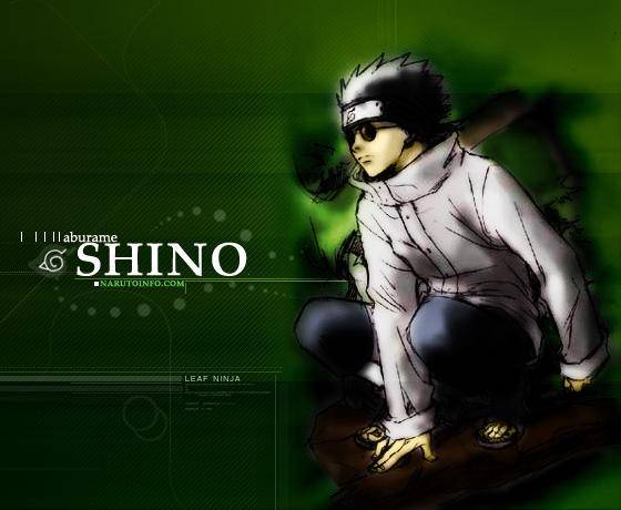 shino aburame