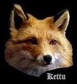 kettu