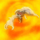 gaara_fan