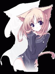 Kotoka