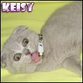Keisy_