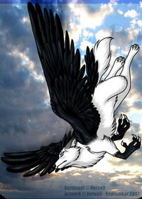 ������� ����