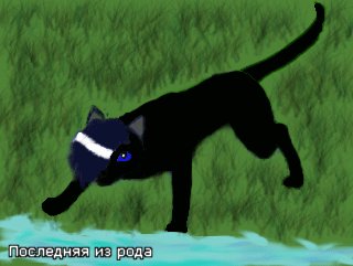 ׸����������