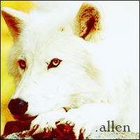 .allen