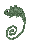 Chameleon