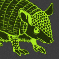 Armadillo