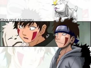 Kiba Inuzuka