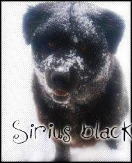 Sirius Black