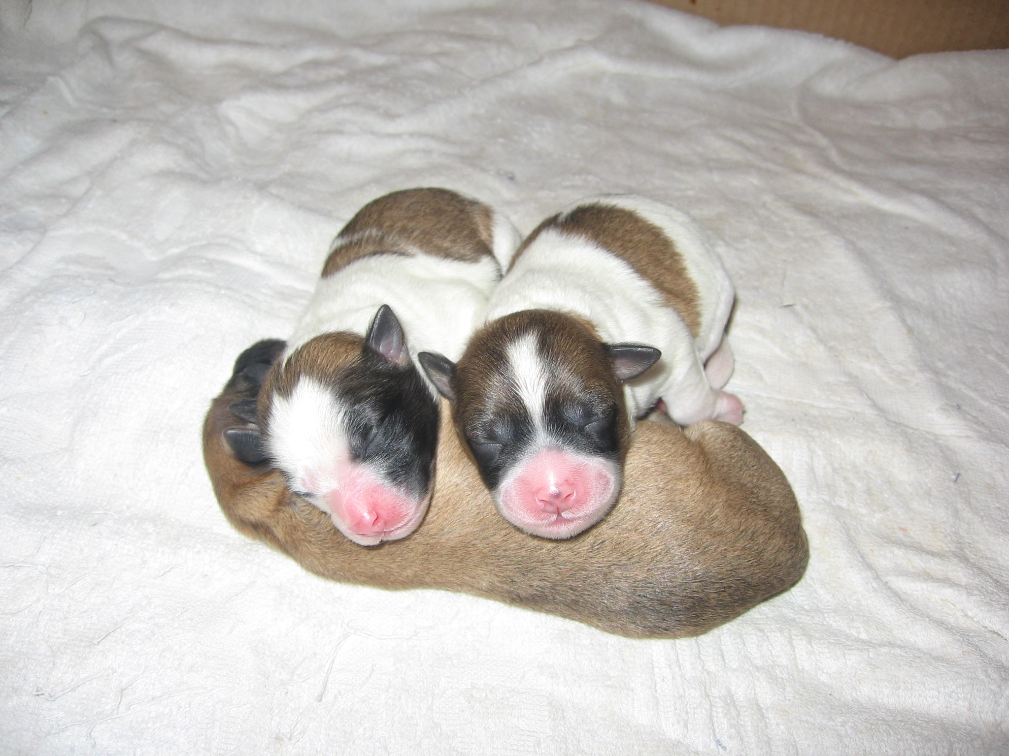 ���������