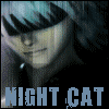 NightCat