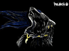 Polnoch
