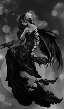 Silena_