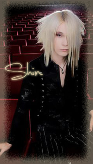Shin