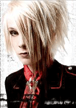 Shin