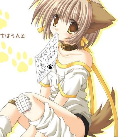 Futushi