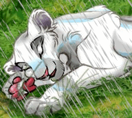 ����� ����� �������